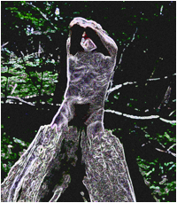 image009.png